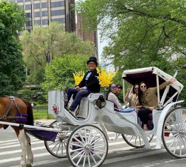 Guided Horse&Carriage Tour Delux