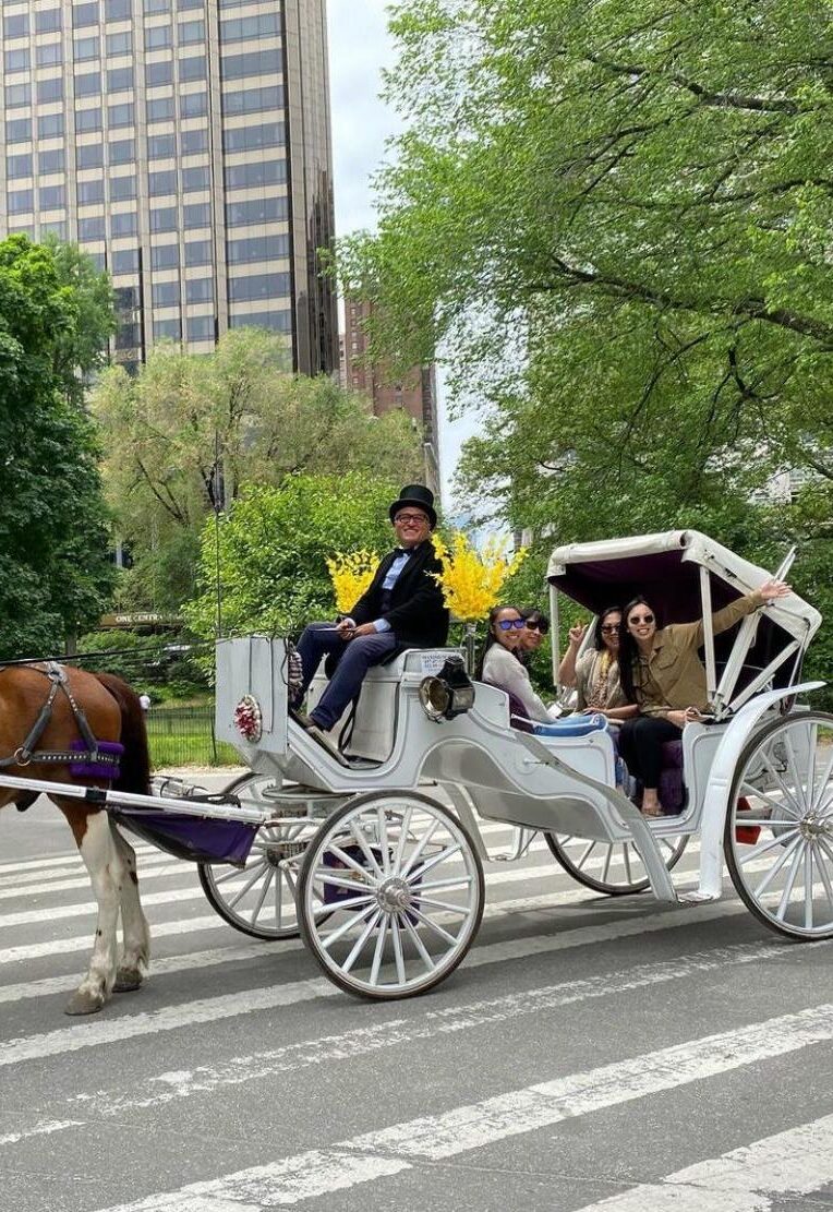 Guided Horse&Carriage Tour Delux