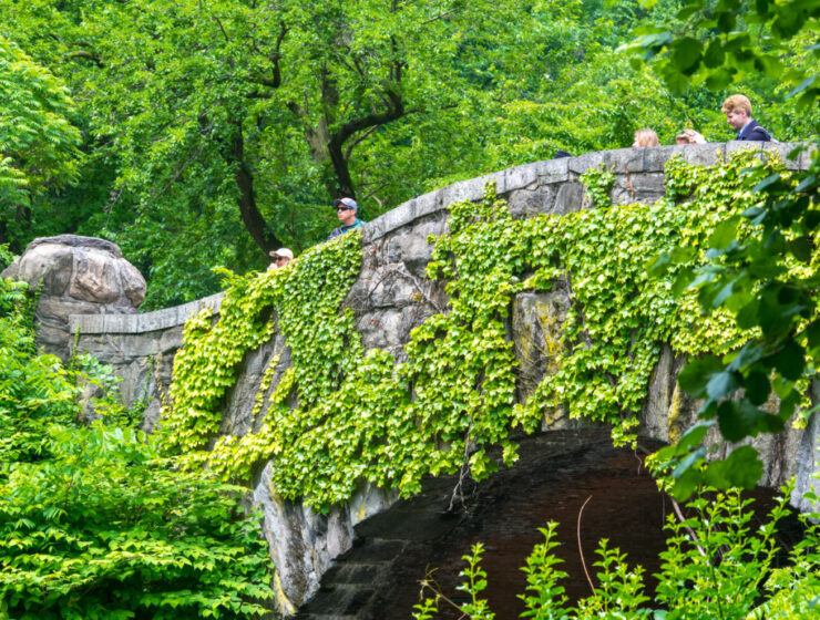 gapstow bridge