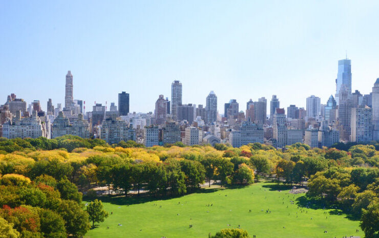 sheep meadow