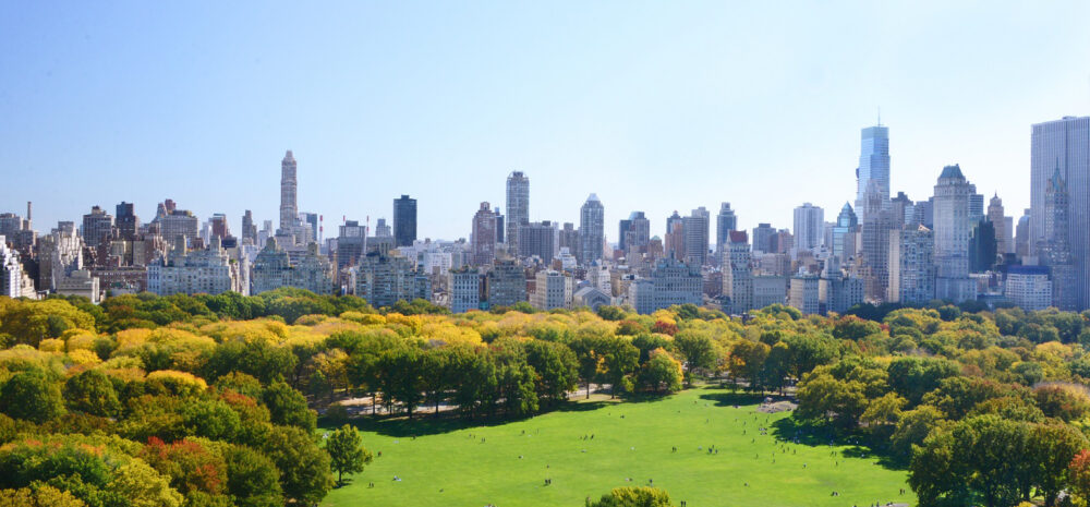 sheep meadow