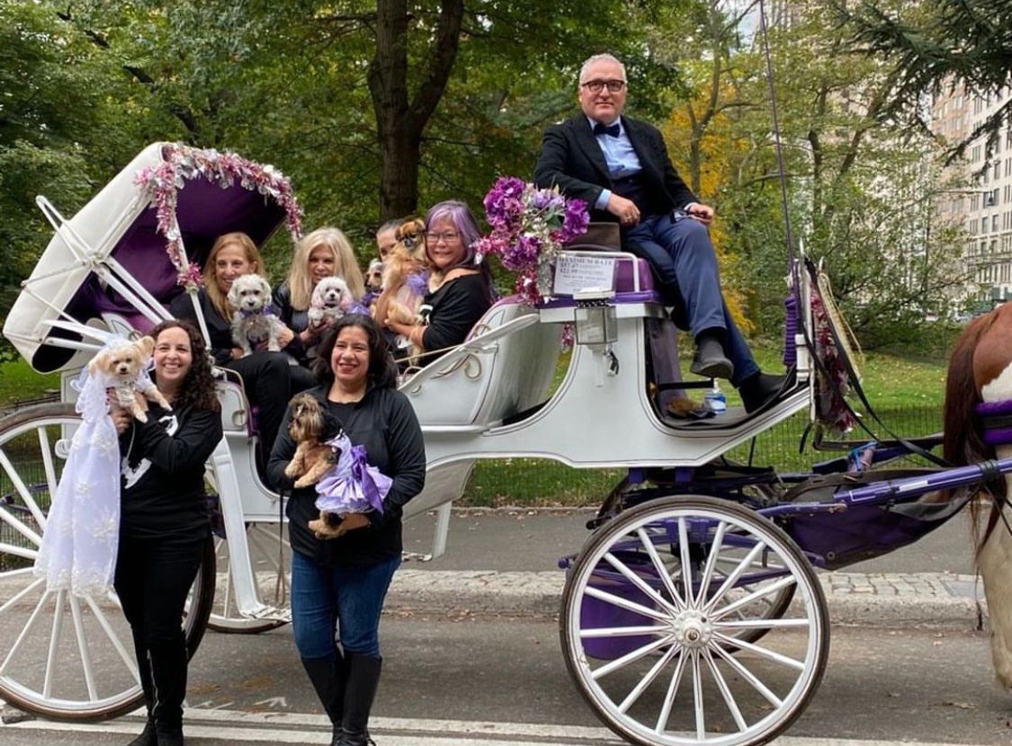 Guided Horse Carriage Family Tour