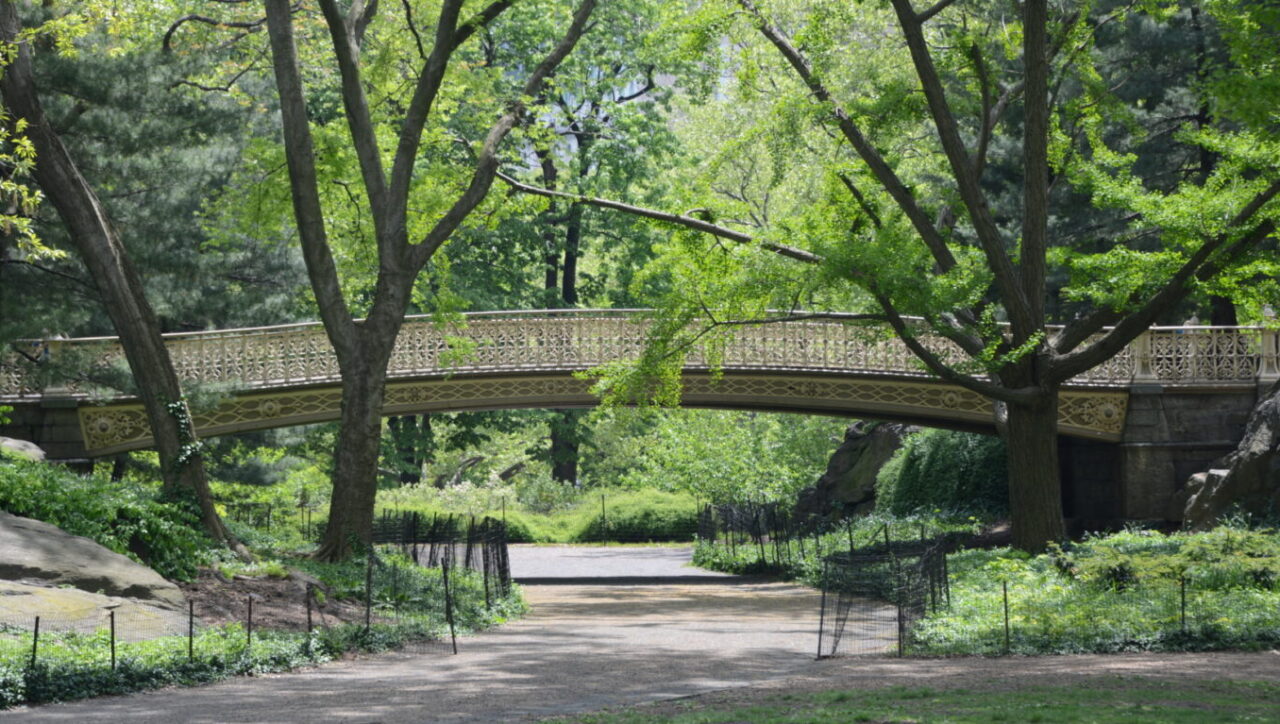 Pinebank Arch