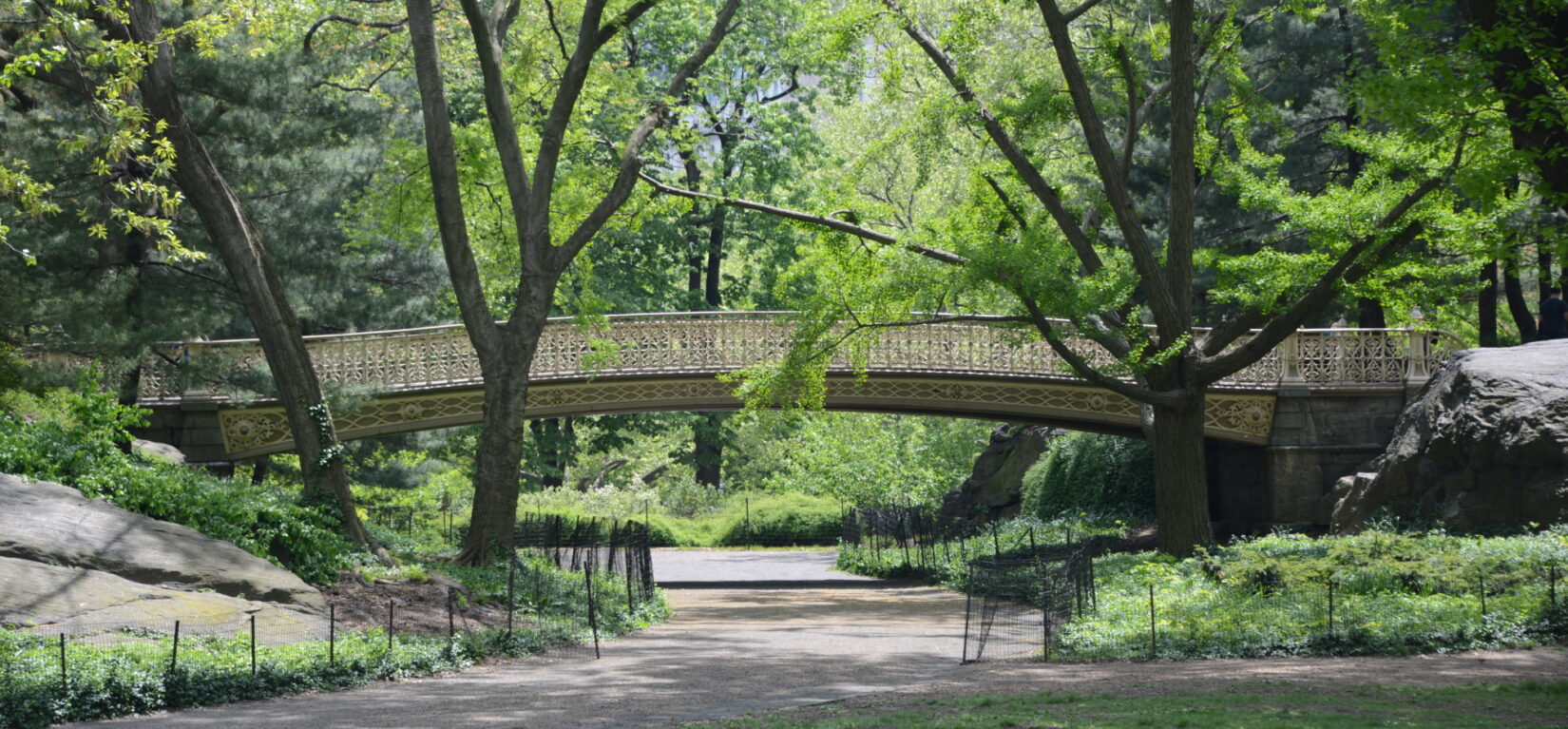 Pinebank Arch