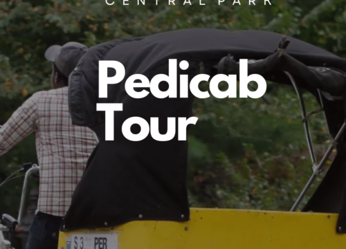 The Best City Pedicab Tour (City+Park)