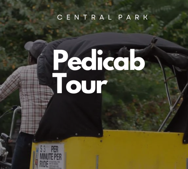 The Best City Pedicab Tour (City+Park)