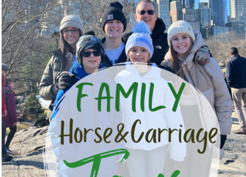 Guided Horse Carriage Family Tour