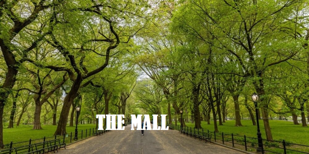 the mall