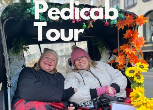 Pedicab Highlights Tour (Park)