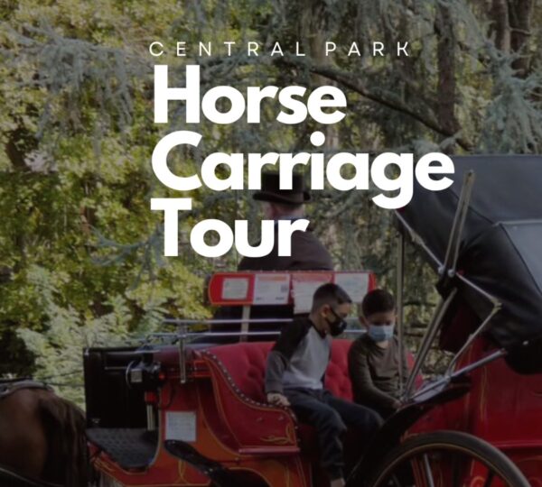 Horse Carriage Ride Highlights Tour