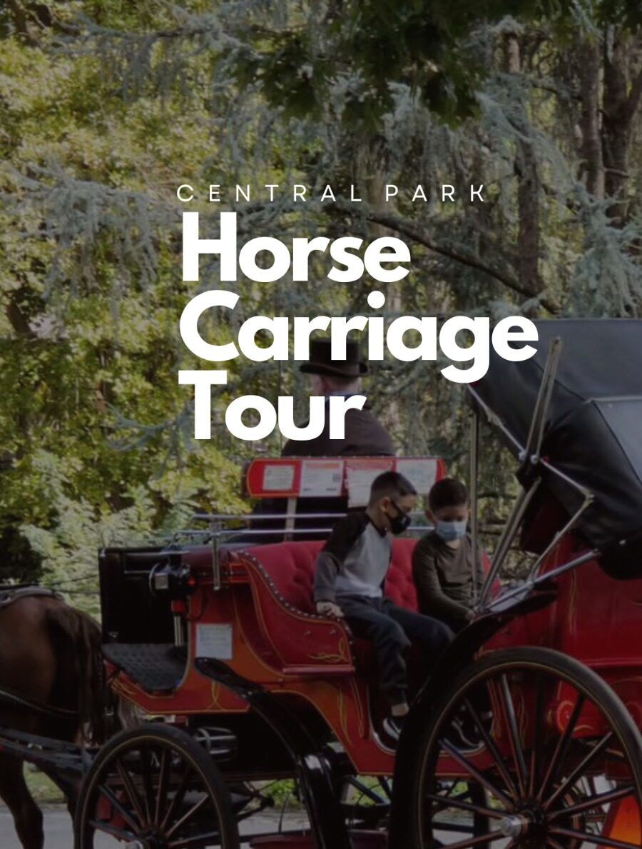 Horse Carriage Ride Highlights Tour