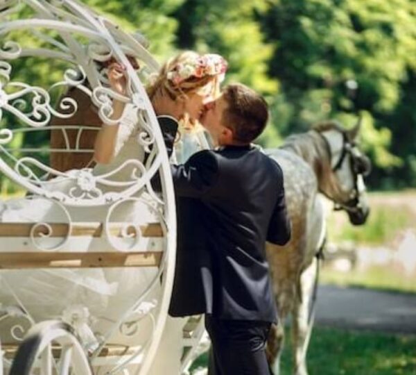 Surprise Proposal Carriage Tour