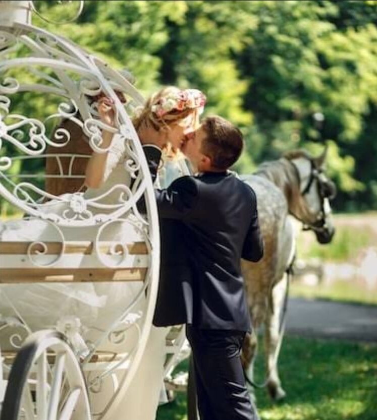 Surprise Proposal Carriage Tour