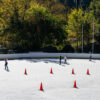 wollman rink