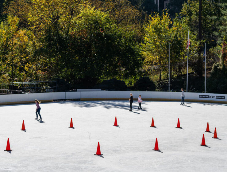 wollman rink