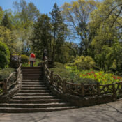 SHAKESPEARE GARDEN