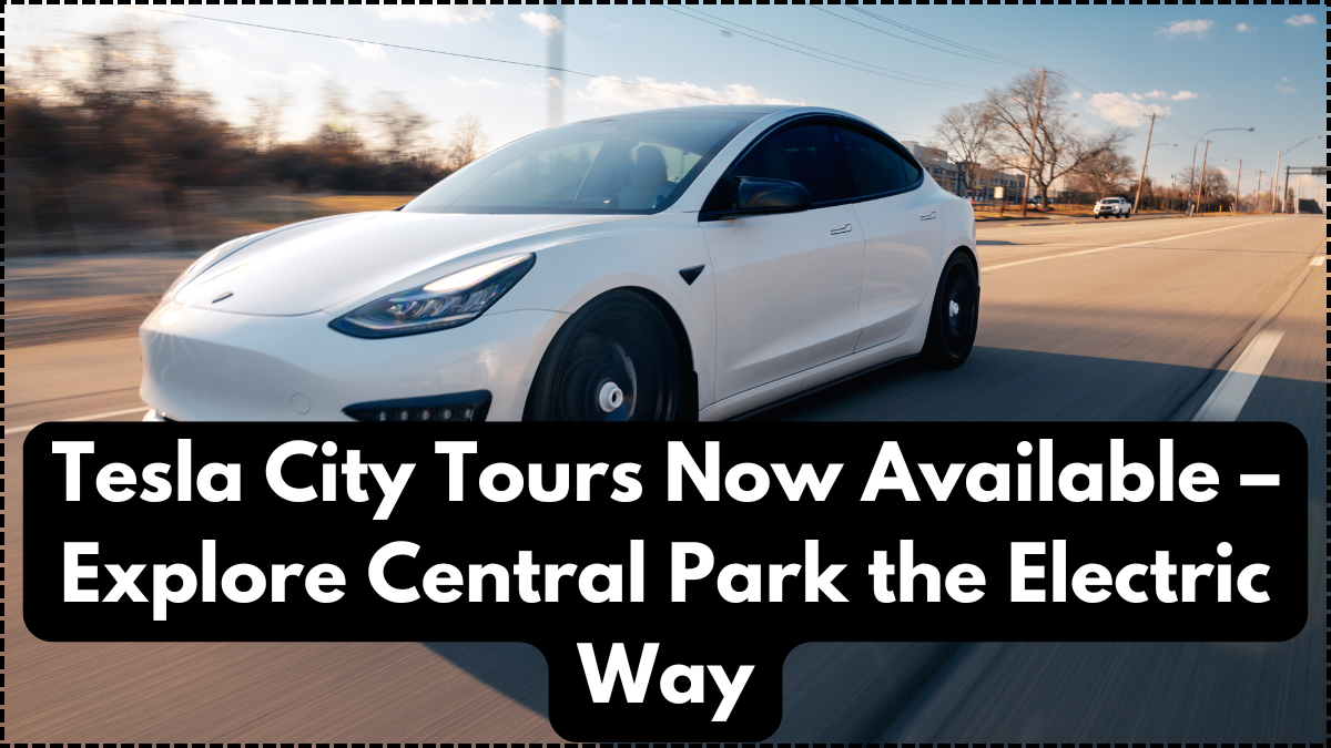 Tesla City Tours Now Available – Explore Central Park the Electric Way