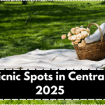 Best Picnic Spots in Central Park 2025 – Quiet Lawns & Scenic Views