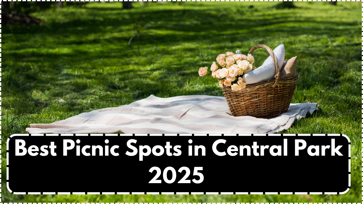 Best Picnic Spots in Central Park 2025 – Quiet Lawns & Scenic Views