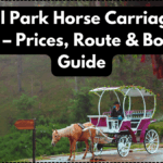Central Park Horse Carriage Ride 2025 – Prices, Route & Booking Guide