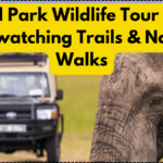 Central Park Wildlife Tour 2025 – Birdwatching Trails & Nature Walks