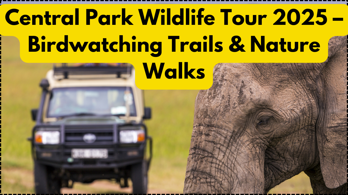 Central Park Wildlife Tour 2025 – Birdwatching Trails & Nature Walks