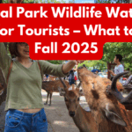 Central Park Wildlife Watching Guide for Tourists – What to See in Fall 2025