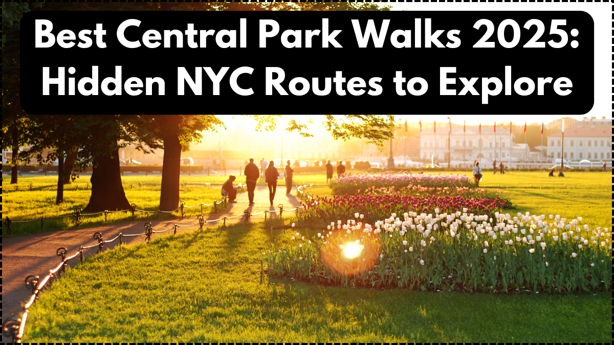 Best Central Park Walks 2025: Hidden NYC Routes to Explore